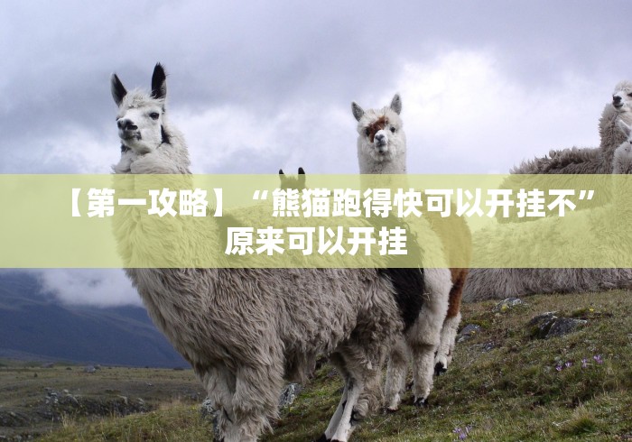 1分钟科普“随意玩拼三张好牌技巧”(透视)开挂辅助脚本+详细开挂安装教程