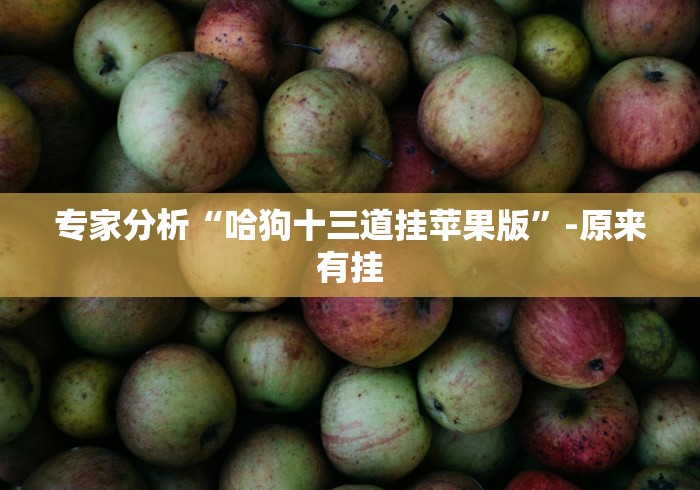 科技媒体实测“好运大菠萝比鸡有挂吗”(果然有透视挂)