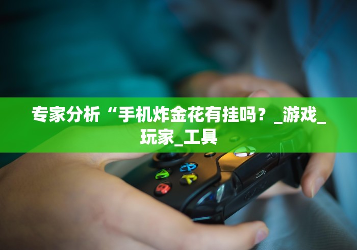 必胜技巧全攻略“微乐捉鸡麻将怎样设置才容易赢”(果然有透视挂) 