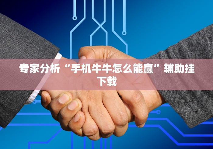 【盘点十款】“微乐踢坑万能开挂器通用版”通用版下载教程