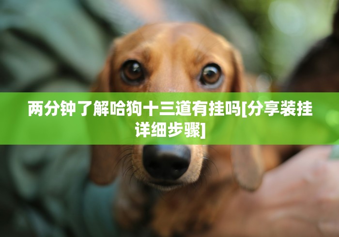 知识教程!微信链接斗牛有没有挂{透视辅助}全揭秘