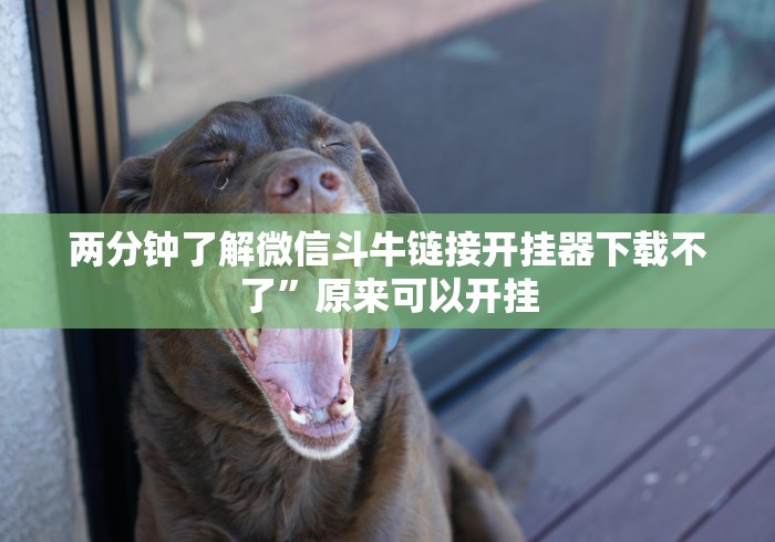 辅助教程分享“途游四川麻将可以买挂吗”详细分享装挂步骤教程