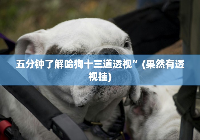 五分钟了解哈狗十三道透视”(果然有透视挂)
