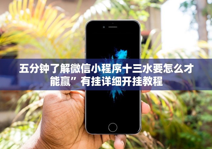 我来教教大家随便跑胡子有挂吗”详细开挂安装教程