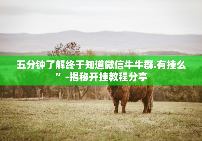 五分钟了解终于知道微信牛牛群.有挂么”-揭秘开挂教程分享