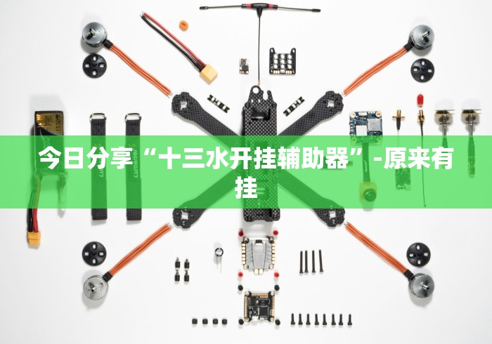 今日分享“十三水开挂辅助器”-原来有挂