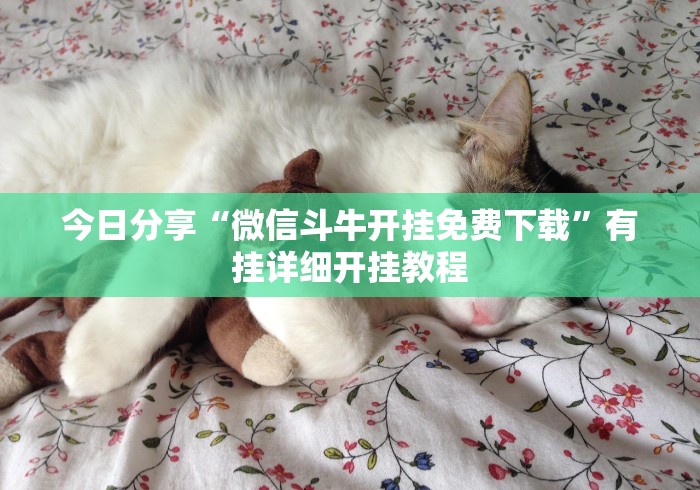 今日分享“微信斗牛开挂免费下载”有挂详细开挂教程