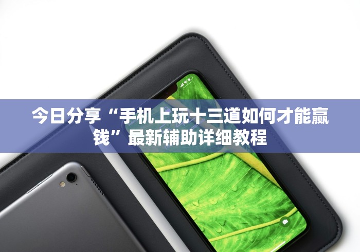 今日分享“手机上玩十三道如何才能赢钱”最新辅助详细教程