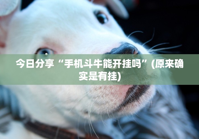 最新教你“全民比鸡是不是有挂”开挂辅助软件教程