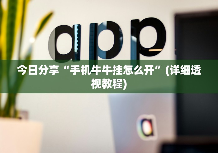 今日分享“手机牛牛挂怎么开”(详细透视教程)