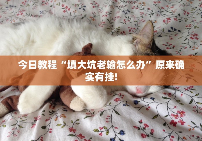 今日教程“填大坑老输怎么办”原来确实有挂!