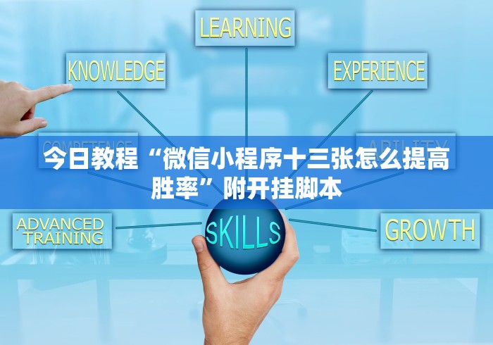 今日教程“微信小程序十三张怎么提高胜率”附开挂脚本