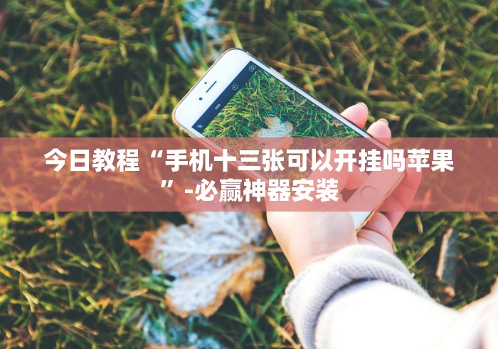 【独家发现】“微乐透视挂app怎么安装[确实真的有挂]