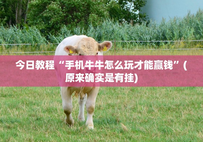 终于懂了“微信牛牛链接版有挂吗”详细辅助软件教程