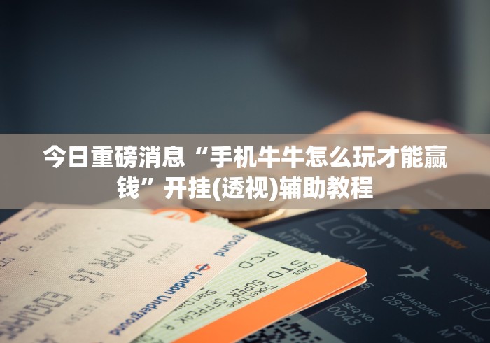 一分钟讲解“微乐广东麻将有挂吗”详细辅助软件教程