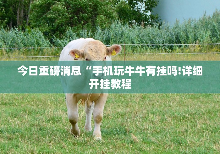 终于懂了“微信牛牛链接版有挂吗”详细辅助软件教程