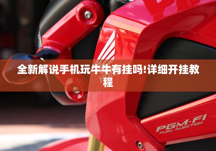 独家脚本实测“泸州大贰技巧口诀暗语”(详细辅助脚本)