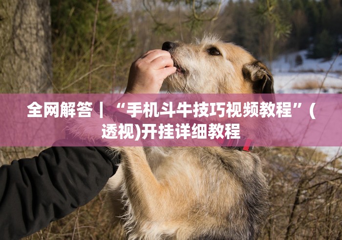 【最新科普】聚乐麻将挂怎么开”(透视)其实确实有挂