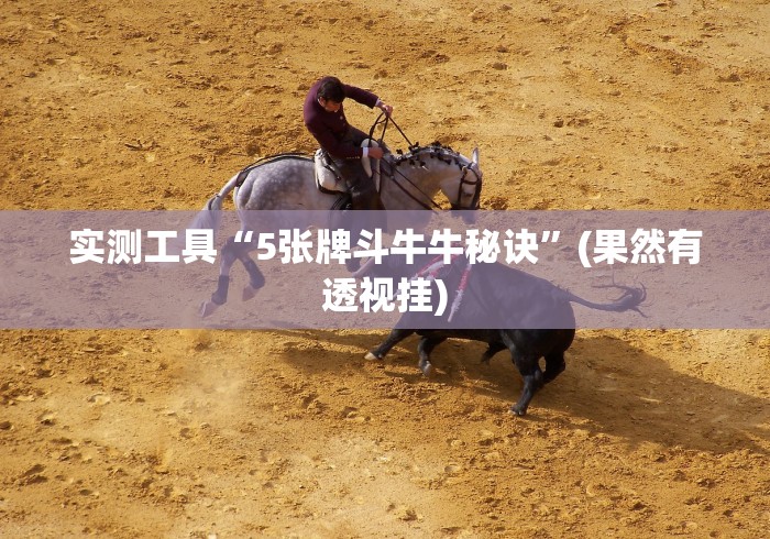 实测工具“5张牌斗牛牛秘诀”(果然有透视挂)