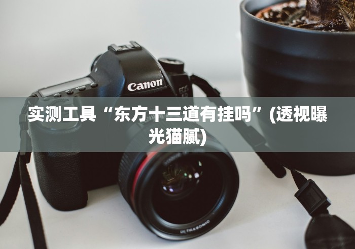 实测工具“东方十三道有挂吗”(透视曝光猫腻)