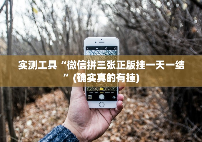 实测工具“微信拼三张正版挂一天一结”(确实真的有挂)