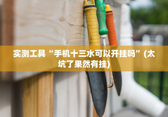 实测工具“手机十三水可以开挂吗”(太坑了果然有挂)