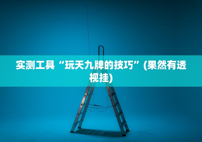 实测工具“玩天九牌的技巧”(果然有透视挂)