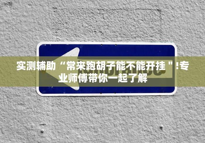 [解答]“闽乐乐510K有挂吗”开挂辅助脚本+详细开挂安装教程