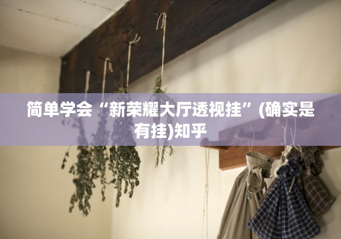 简单学会“新荣耀大厅透视挂”(确实是有挂)知乎