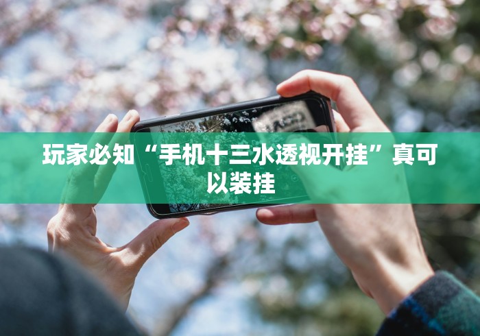 3分钟教程“微乐麻将万能开挂器更新版”(详细透视教程)-