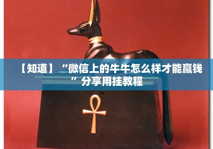 大家普及一下“川渝十三水可以开挂吗(确实真的有挂)