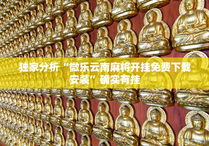 独家分析“微乐云南麻将开挂免费下载安装”确实有挂