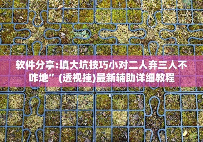 软件分享:填大坑技巧小对二人弃三人不咋地”(透视挂)最新辅助详细教程