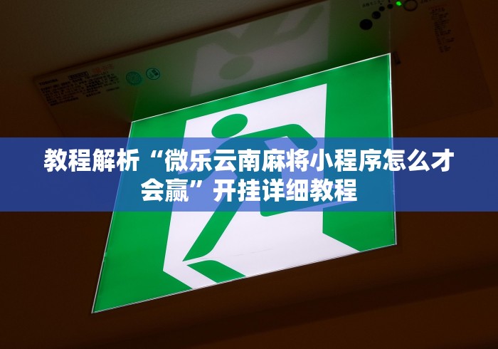 玩家辅助神器:“微乐安徽麻将万能开挂器通用版”(果然有透视挂)