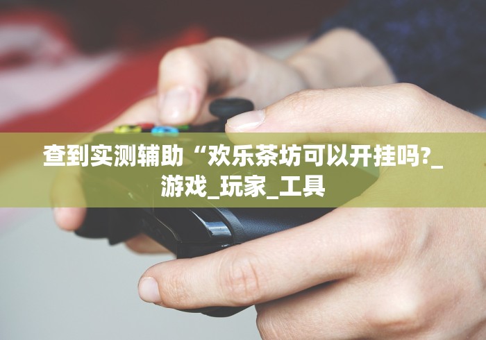 助赢神器“菜鸟黑桃A3有挂吗”(果然有透视挂) 