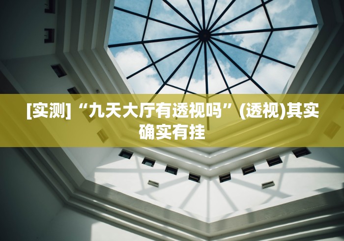 [实测]“九天大厅有透视吗”(透视)其实确实有挂