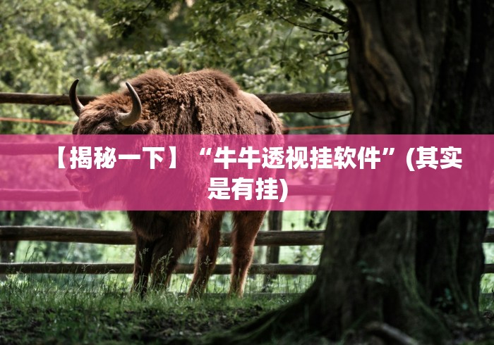 辅助盘点“嘉兴黑桃a内挂”详细外挂透视辅助软件教程