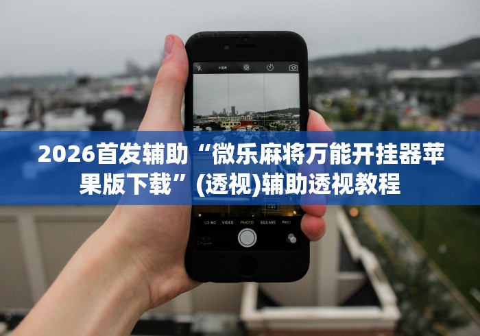 辅助教程分享“十三张必胜组合”(详细开挂教程)