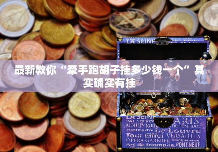 最新教你“牵手跑胡子挂多少钱一个”其实确实有挂