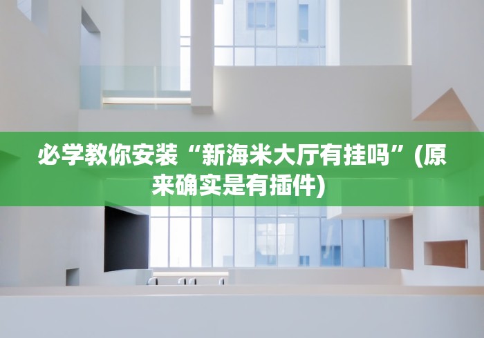 必学教你安装“新海米大厅有挂吗”(原来确实是有插件) 