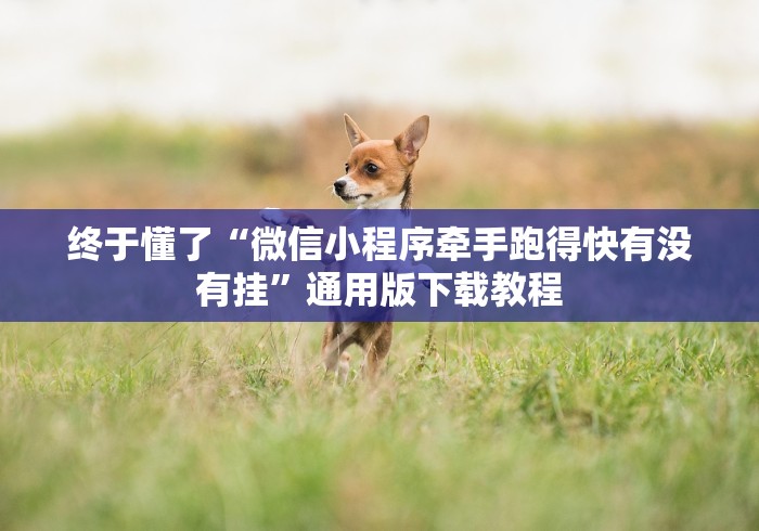 终于懂了“微信小程序牵手跑得快有没有挂”通用版下载教程