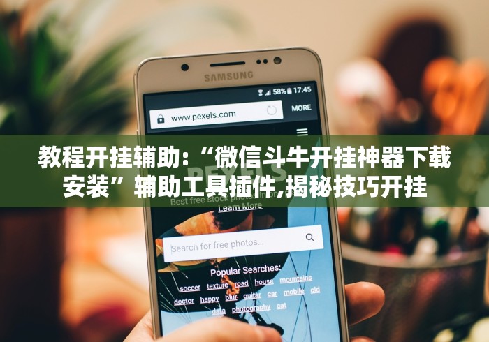 玩家热议“新星游有挂吗”附开挂脚本详细教程