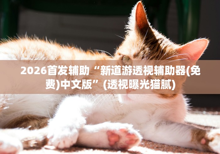 【知道】“福建天天开心可以开挂吗{透视辅助}全揭秘