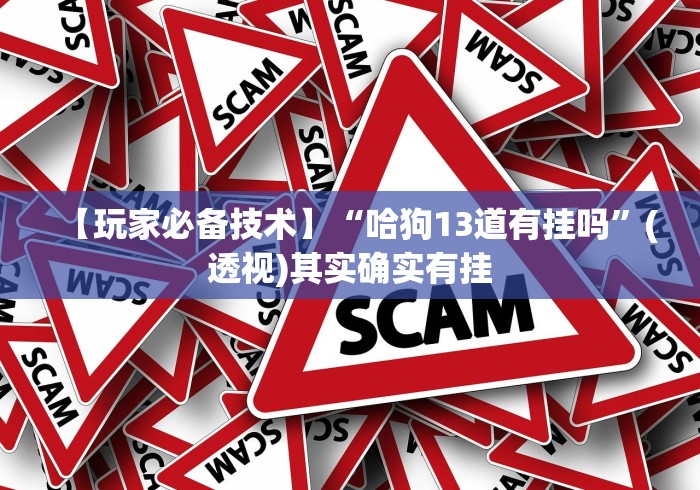 必胜技巧全攻略“多乐跑胡子如何提高胡牌率”作弊(透视)透视辅助