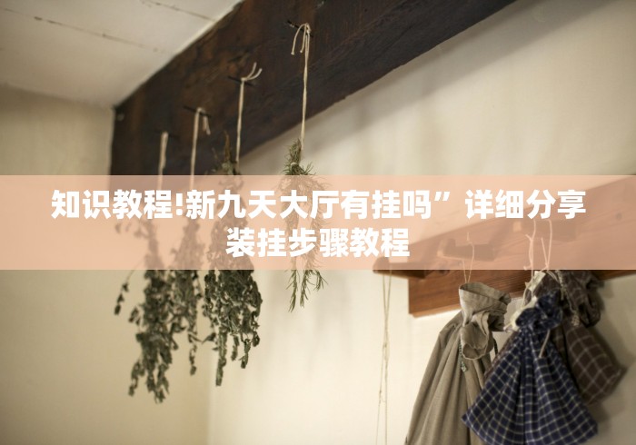 知识教程!新九天大厅有挂吗”详细分享装挂步骤教程