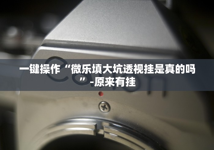 一键操作“微乐填大坑透视挂是真的吗”-原来有挂