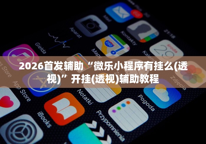 2026首发辅助“微乐小程序有挂么(透视)”开挂(透视)辅助教程