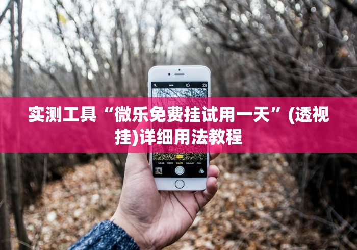 实测工具“微乐免费挂试用一天”(透视挂)详细用法教程