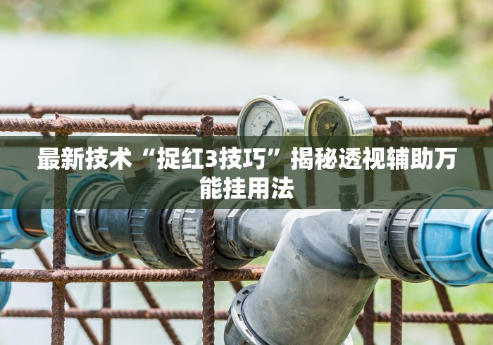 大家普及一下“五人填大坑技巧”(助赢详细开挂教程)