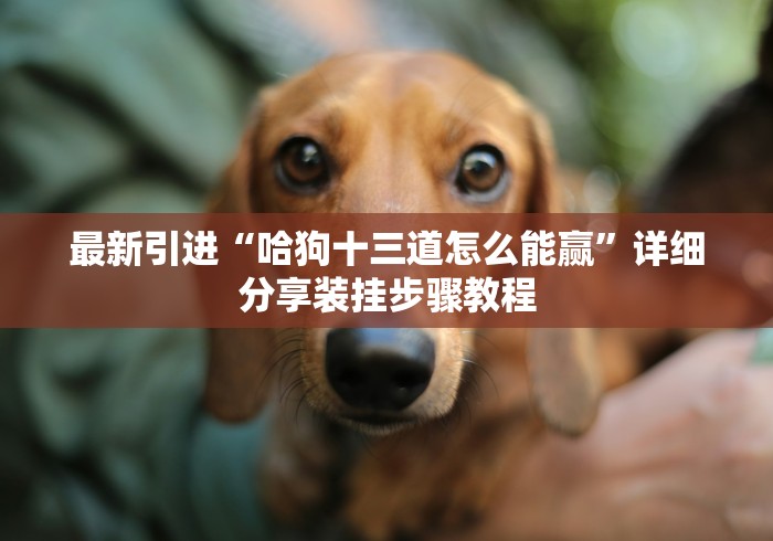 [推荐]“微乐跑得快免费辅开挂”详细外挂安装步骤